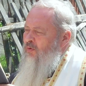 Andrei Andreicuț