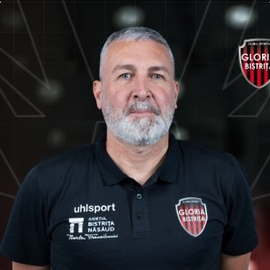 Carlos Enrique Viver Arza