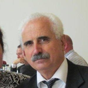 Viorel Tiniș